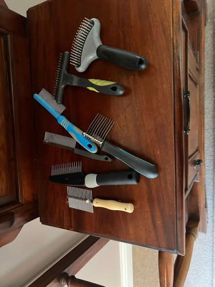 Photo of free Collection of dog grooming tools (Layer-de-la-Haye CO2) #1