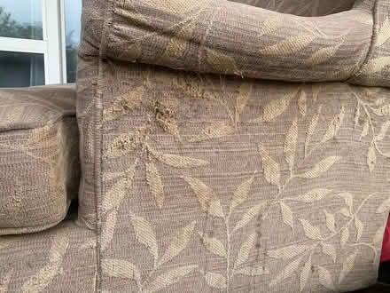 Photo of free Loveseat small couch sofa (Cherry Blossom Neighborhood) #2