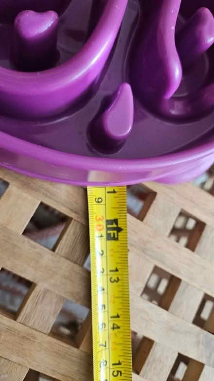 Photo of free Dog 'slow feeding' bowl (Belper DE56) #2