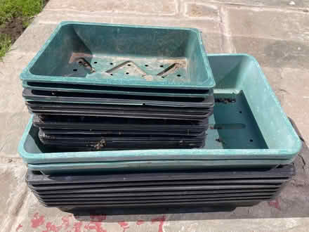 Photo of free Seed trays (Maryfield DD4) #1