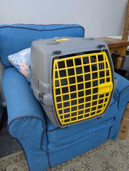 Photo of free 2x Pet Carriers (tilshead) #1