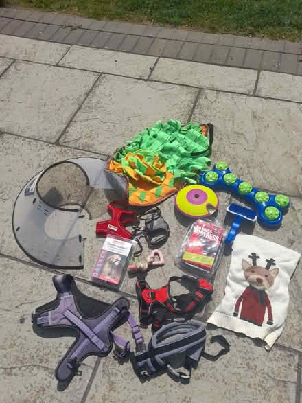 Photo of free various items for a dog (Harold Wood RM3) #1