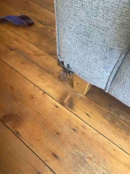 Photo of free Sofa and chair (Walkley) #3