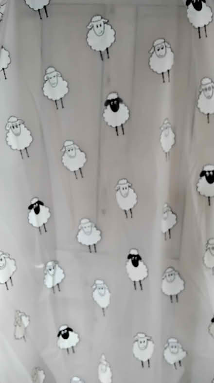Photo of free Shower curtain (Holbrook DE56) #1