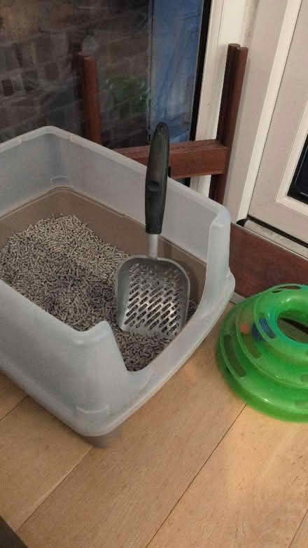 Photo of free Cat litter box and shovel and toy (Highters Heath B14) #3