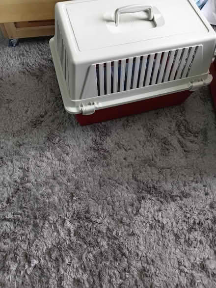 Photo of free Cat carrier (Maidenhead SL6) #2
