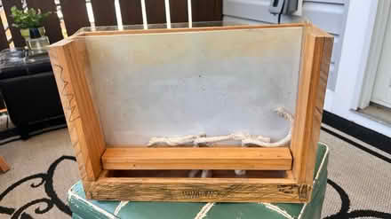 Photo of free vegetable root viewer (for kids) (Petworth) #1