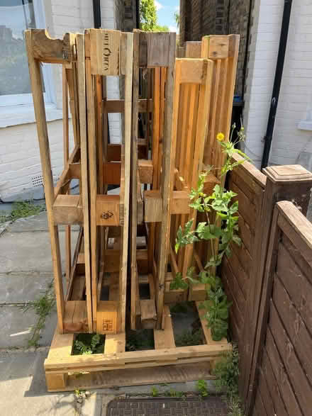 Photo of free Wooden Pallets (Southgate N13 4HD) #1