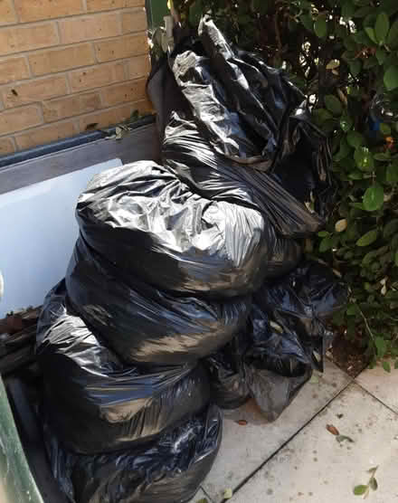 Photo of free Several bags of soil (Canning Town E16) #1