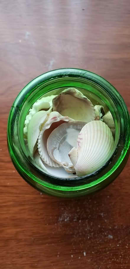 Photo of free Green jar with seashells (Kenson Park) #2