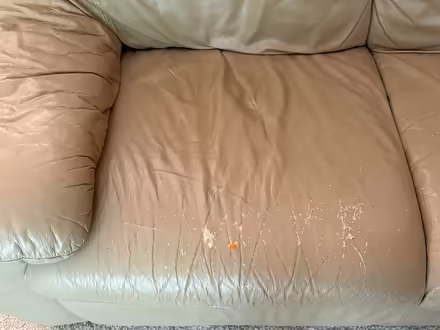Photo of free Couch / sofa (SW side) #4