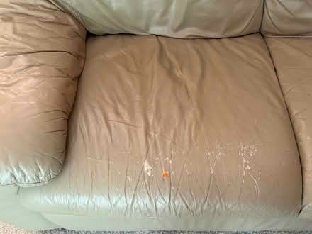 Photo of free Couch / sofa (SW side) #4