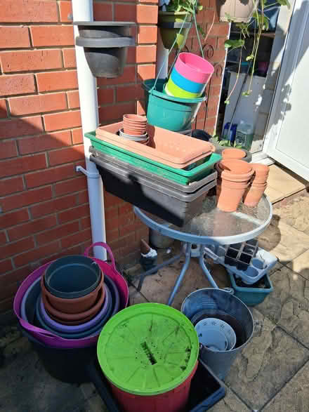 Photo of free Pots (Watton IP25) #1