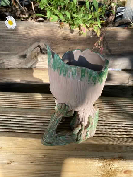 Photo of free Small Groot Plant Pot (Weston) #3