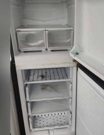 Photo of free Fridge freezer working (L20) #1