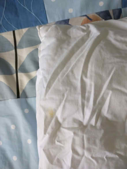 Photo of free M&S Double Duvet 10.5 Tog (Caversham Heights RG4) #3