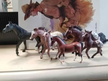 Photo of free Plastic Horses (Near Bolingbrook High School) #1
