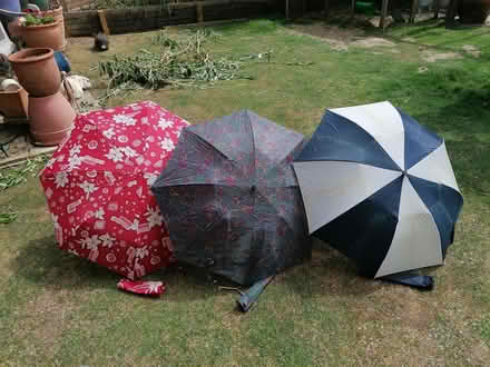 Photo of free Umbrellas (Didcot, Ladygrove, OX11) #1