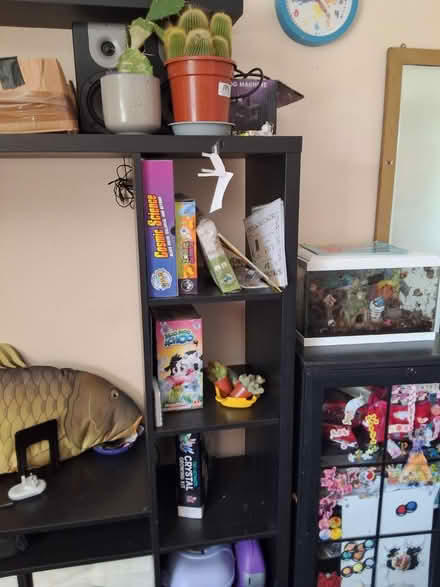 Photo of free Cactus (Horley RH6) #1