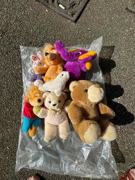 Photo of free Lots of Plushies - Mix - old (Branksome Dorset BH12) #1
