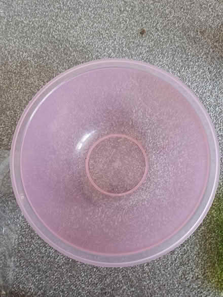 Photo of free Pink bowl (Paulsgrove PO6) #2
