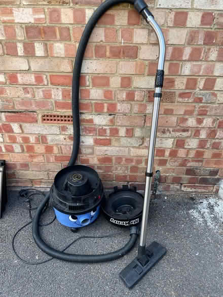 Photo of free Mr Henry (Guildford, GU2) #1