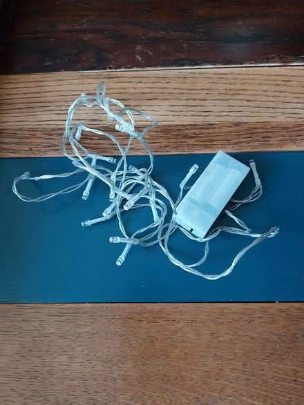 Photo of free Little fairy lights (Southsea) #1
