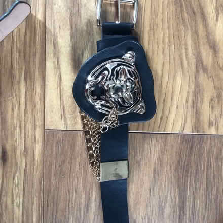 Photo of free Animal buckle belt (Richmond TW1) #1