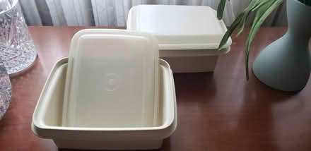Photo of free Ice cream container (Kenson Park) #1