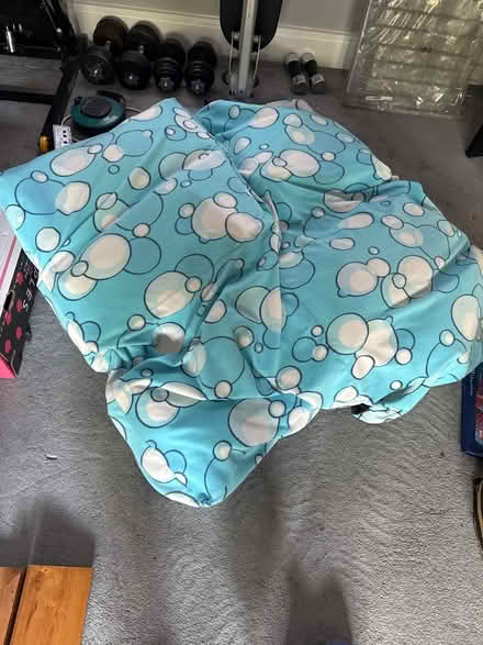 Photo of free Inflatable large cushion/seat (Kingswood) #1