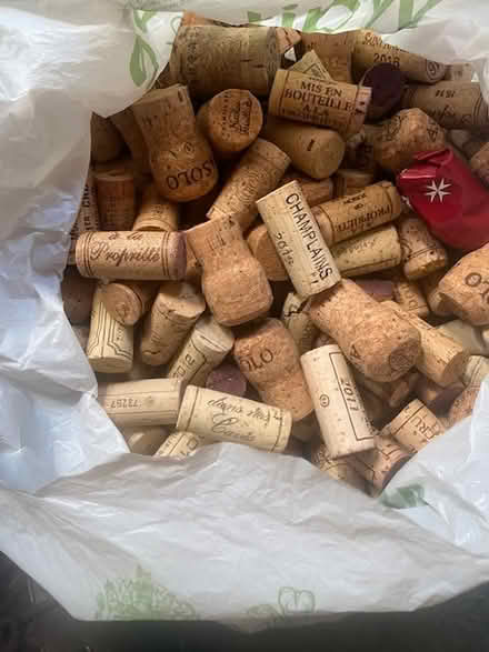 Photo of free Corks, from wine bottles (SP36BA (4)) #1
