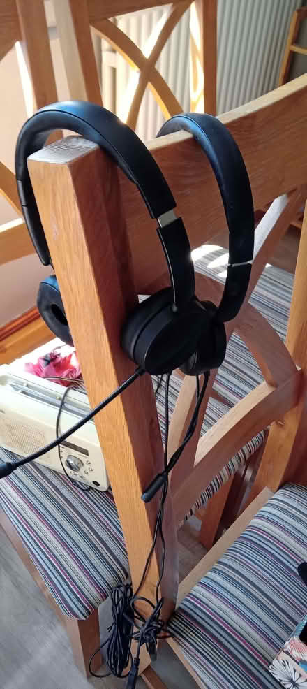 Photo of free Two USB headsets. (Caversham Park RG4) #1