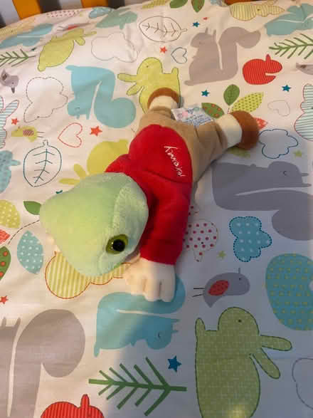 Photo of free Beatrix potter frog beanie (Thringstone LE67) #1