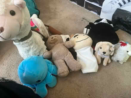Photo of free mixed teddy bears (new brighton CH45) #1