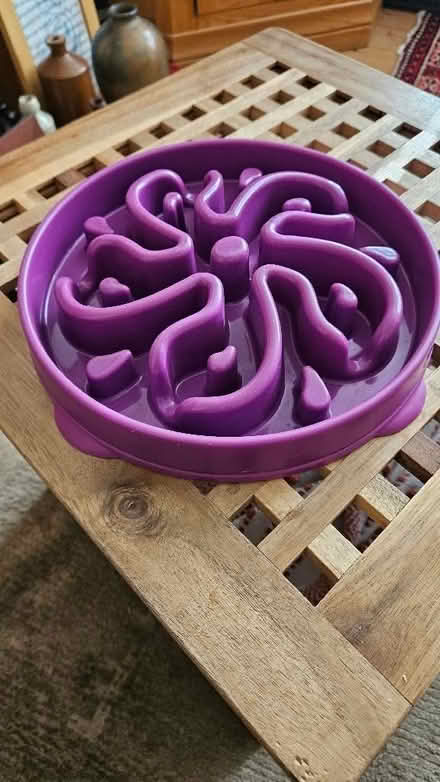 Photo of free Dog 'slow feeding' bowl (Belper DE56) #1