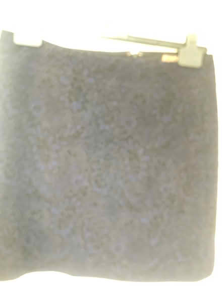 Photo of free Jigsaw skirts size 12 (Bear Flat) #2