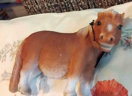 Photo of free Ceramic donkey (islington N1) #2