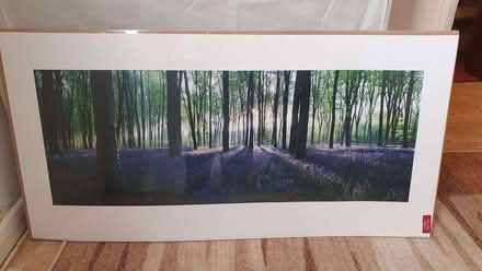 Photo of free 50 x 100 cm print (Blackbird Leys OX4) #1