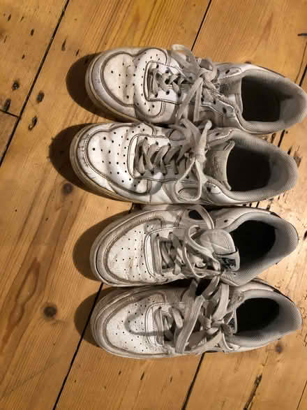Photo of free Nike airforces (Bear Flat) #1