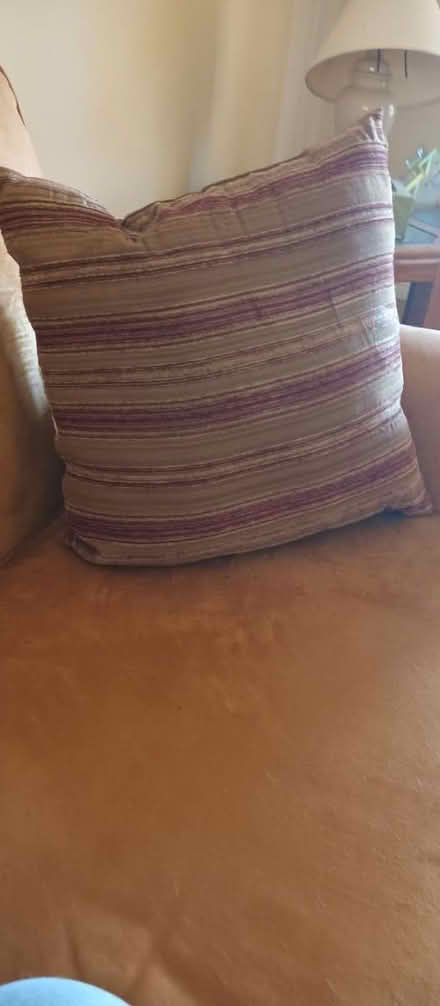 Photo of free Cranberry and Gold Throwpillow (Birdland) #1