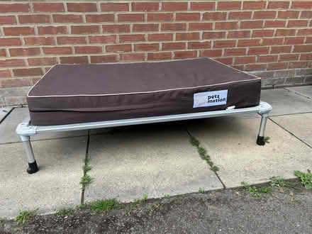Photo of free large dog bed & mattress (Chalgrove OX44) #1