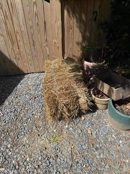 Photo of free Unopened full bale of hay (Friendship Heights) #1
