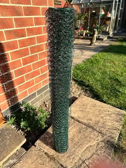 Photo of free Green Wire Netting (Duffield DE56) #1