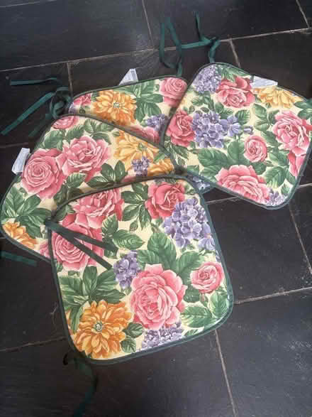 Photo of free Brand new tie on seat pads (Hallatrow) #1