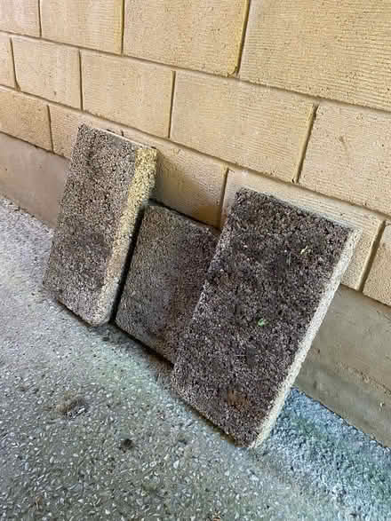 Photo of free Garden slabs (Weston) #1