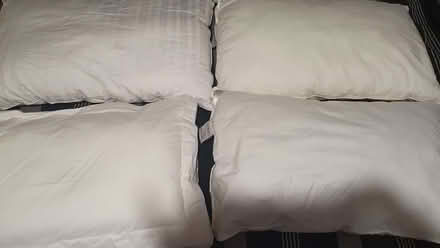 Photo of free 4 Pillows (Blackbird Leys OX4) #2