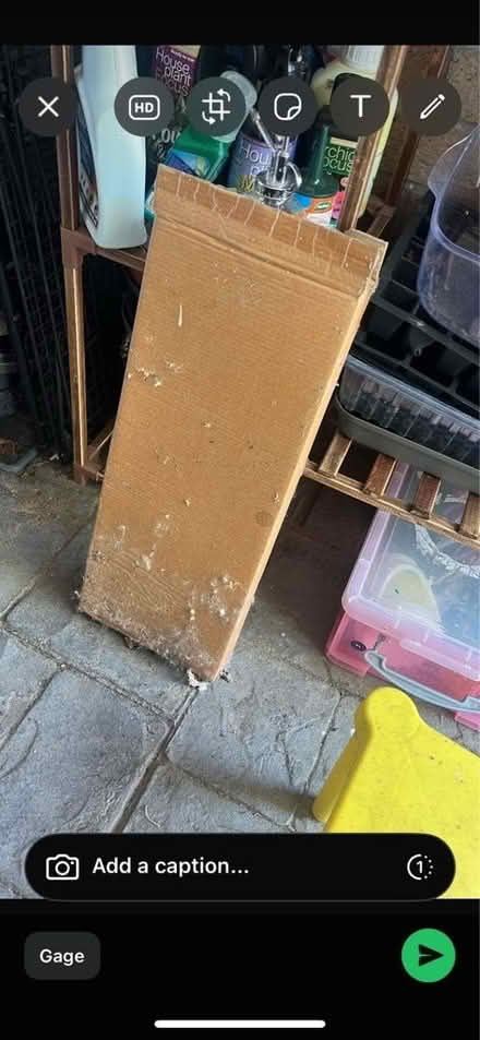 Photo of free Plant supports x1 built and x1 still in box (Breaston DE72) #4