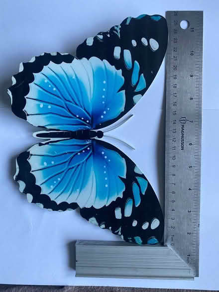Photo of free Metal Butterfly’s (Easthampstead RG12) #3