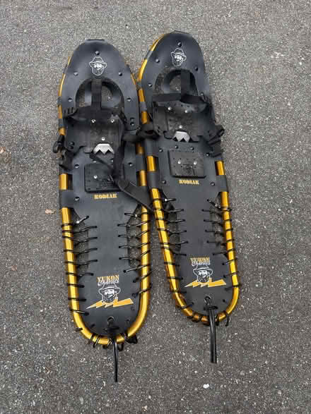 Photo of free Snowshoes (Chelmsford) #1