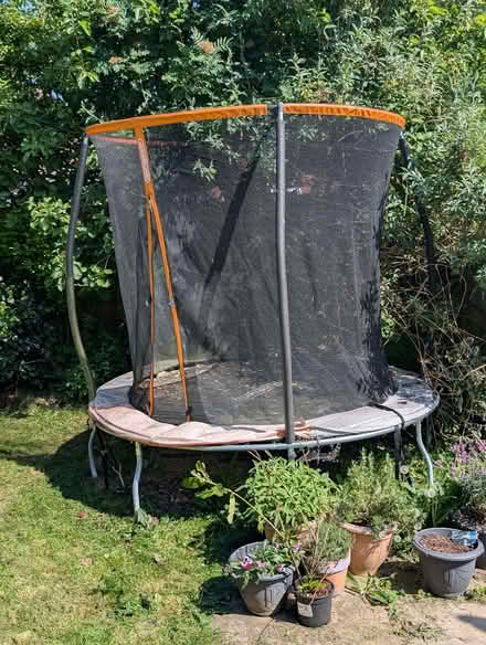 Photo of free Trampoline (Cheadle Heath SK8) #1